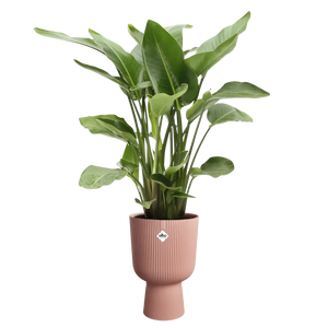 Vibes fold coupe - plantenpot