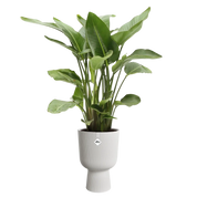 Vibes fold coupe - plantenpot