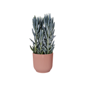 Vibes fold rond - plantenpot