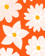 white flowers - waaier
