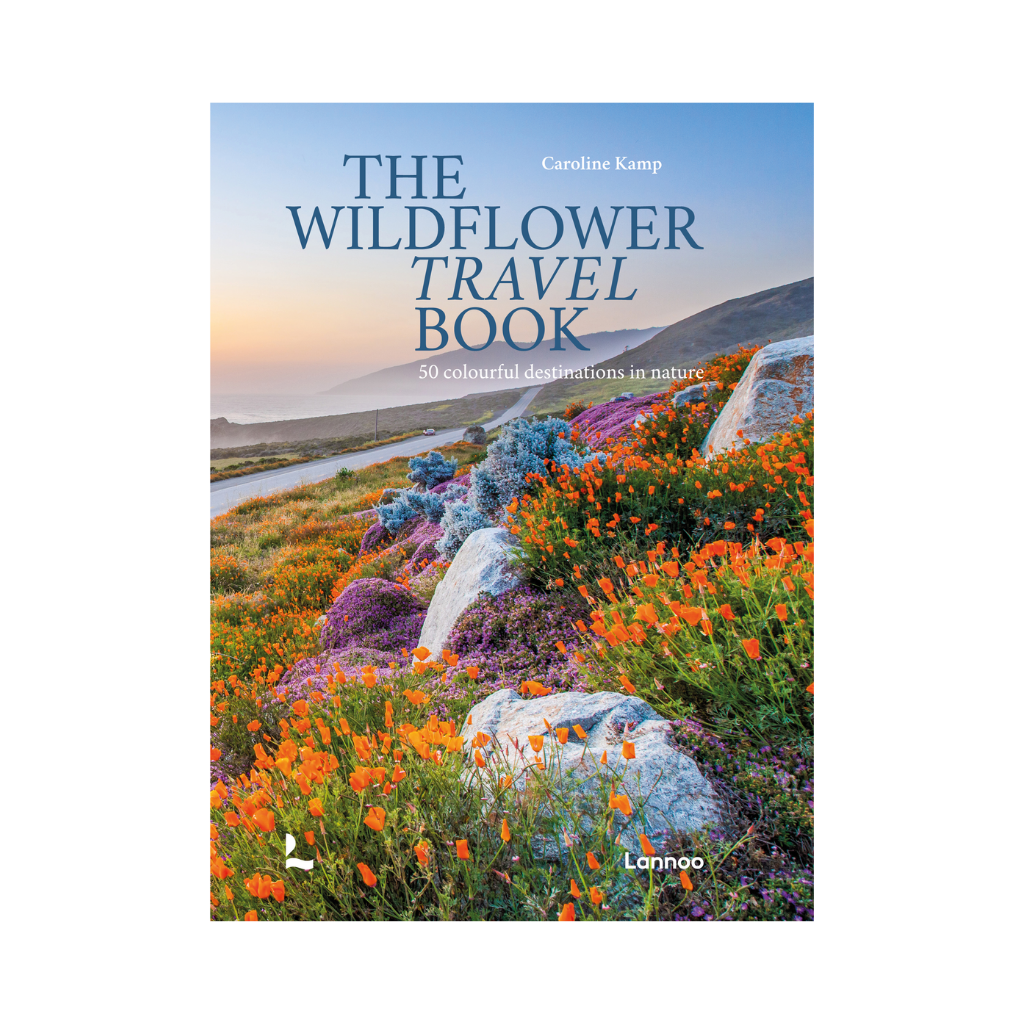 The Wildflower travel book