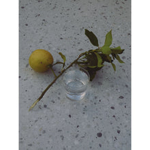 Afbeelding in Gallery-weergave laden, Glas - When life gives you lemons
