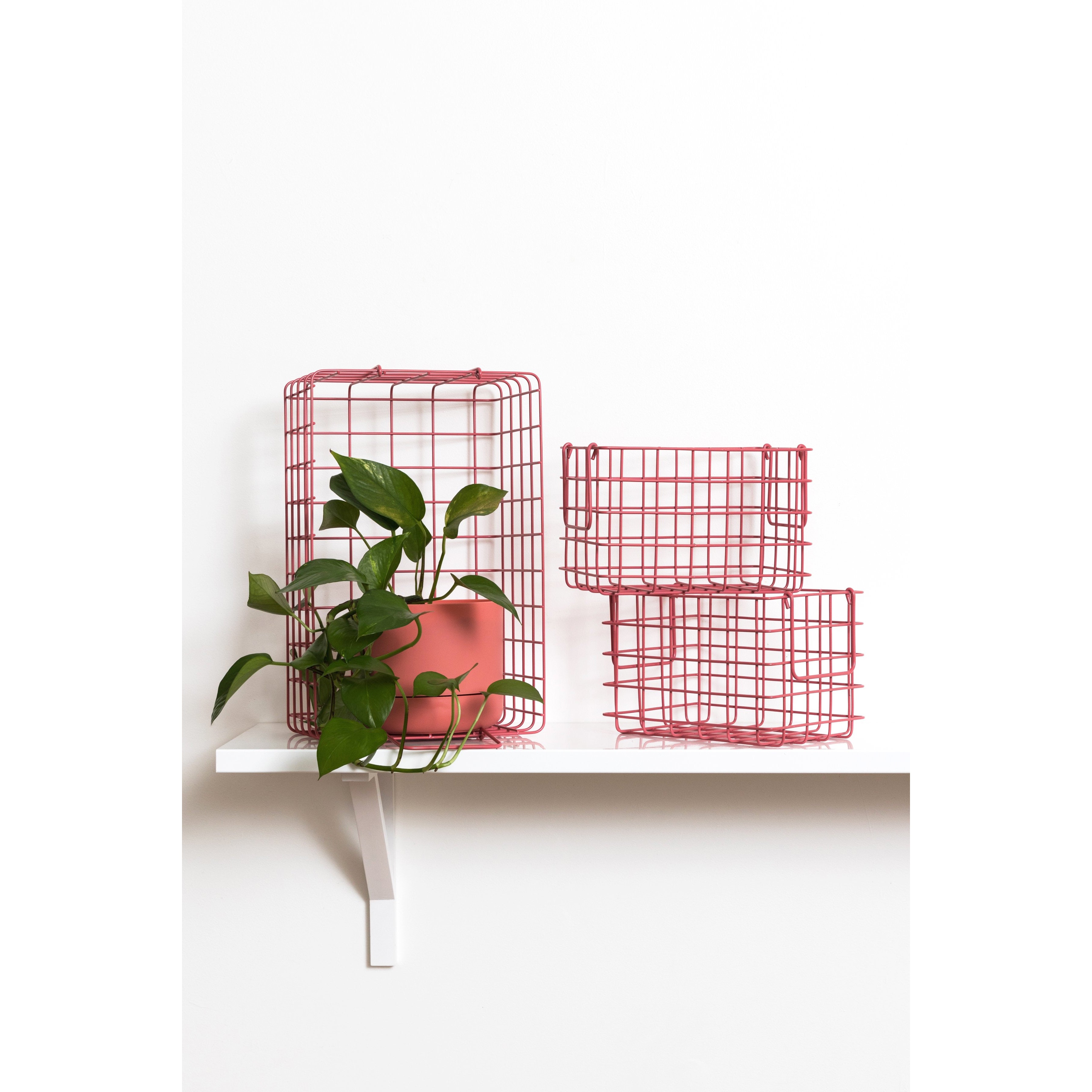 Baskets-003_V.jpg