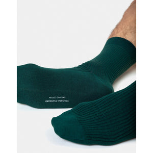 Classic organic sock - Emerald green