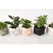 Palua medium - Olive green