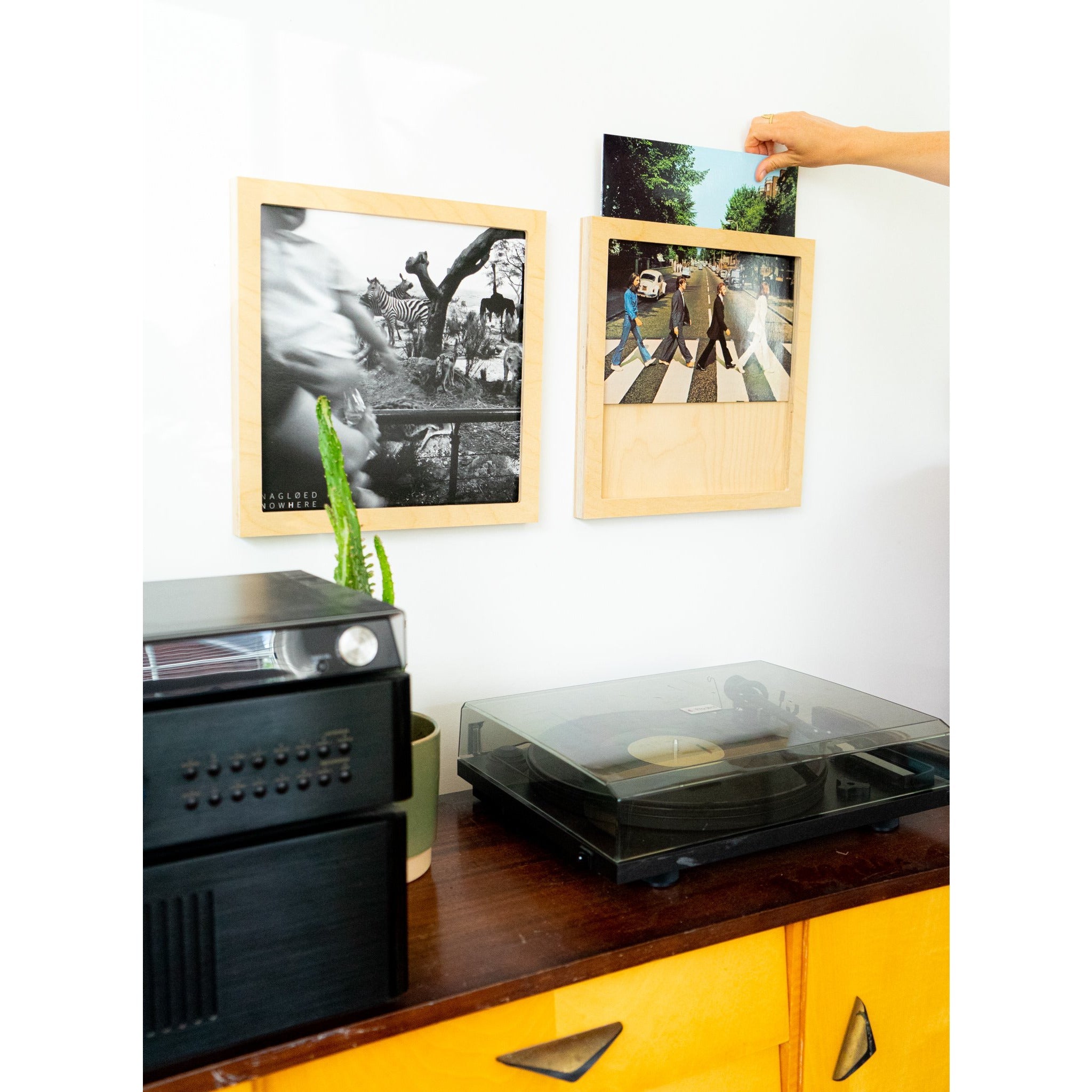 Vinylhouder
