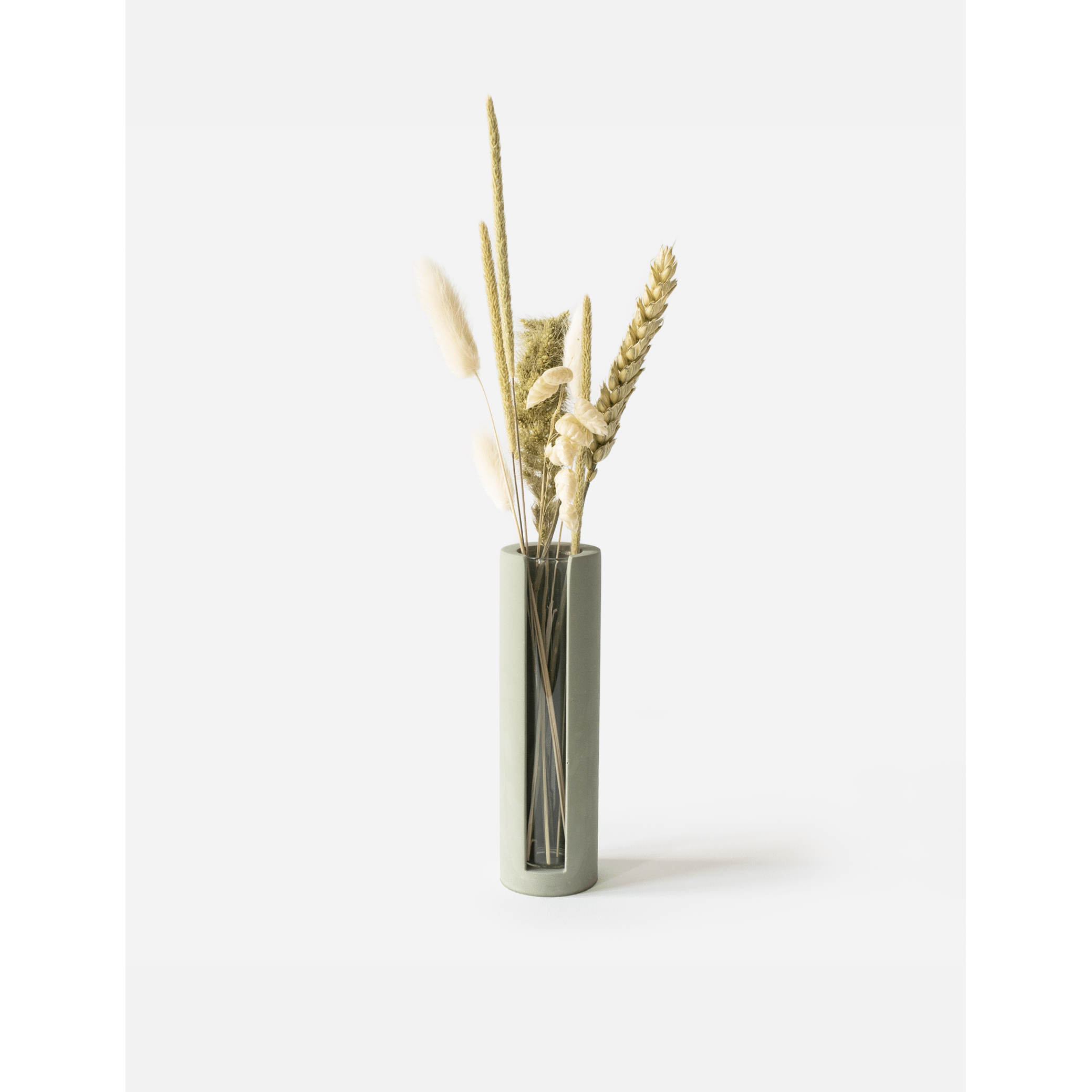 Lily_Olive-Green_Flowers.png