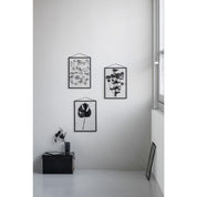 Moebe frame Black