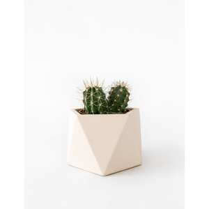 Mare planter large millennial pink