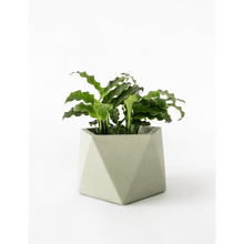 Afbeelding in Gallery-weergave laden, Mare planter large olive
