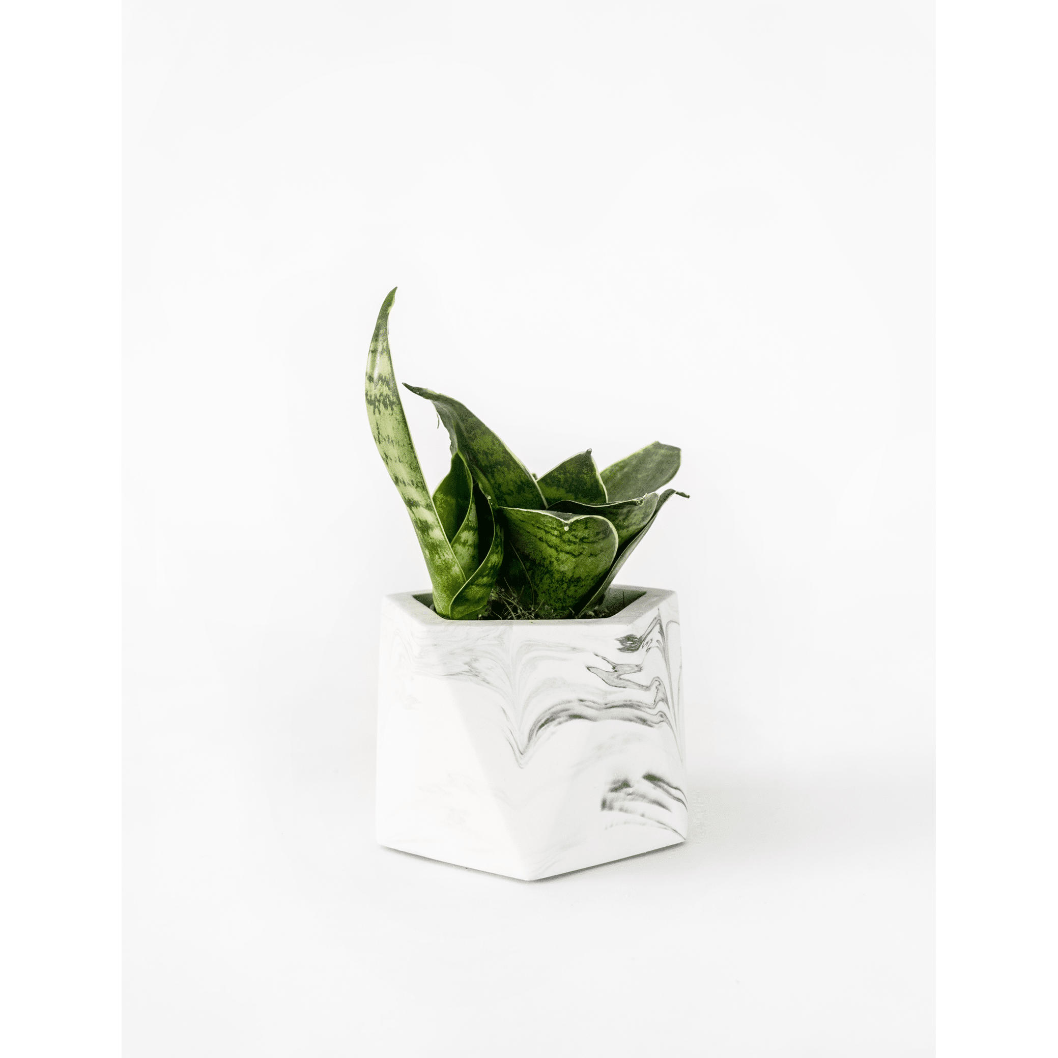 Mare planter medium white marble