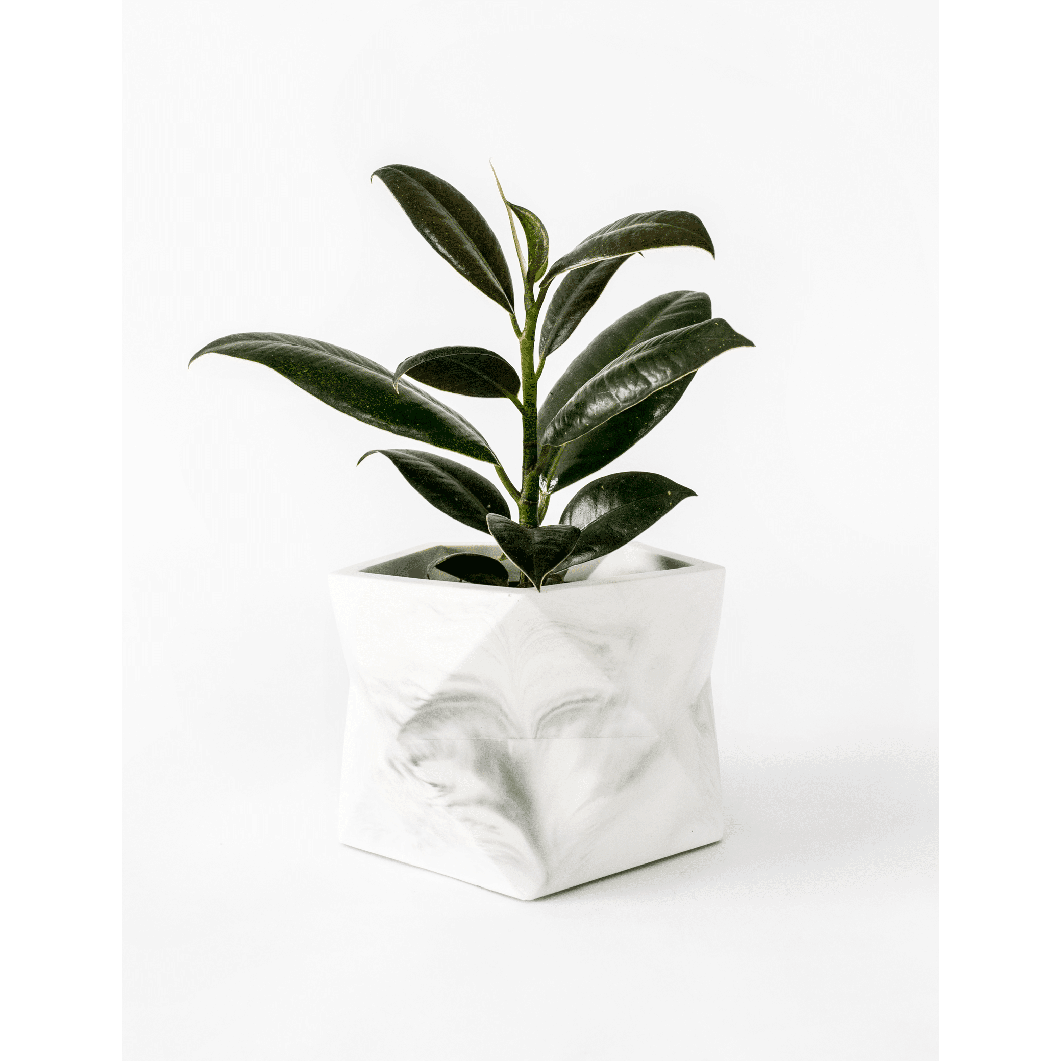 Palua-large_white-marble_plant1.png