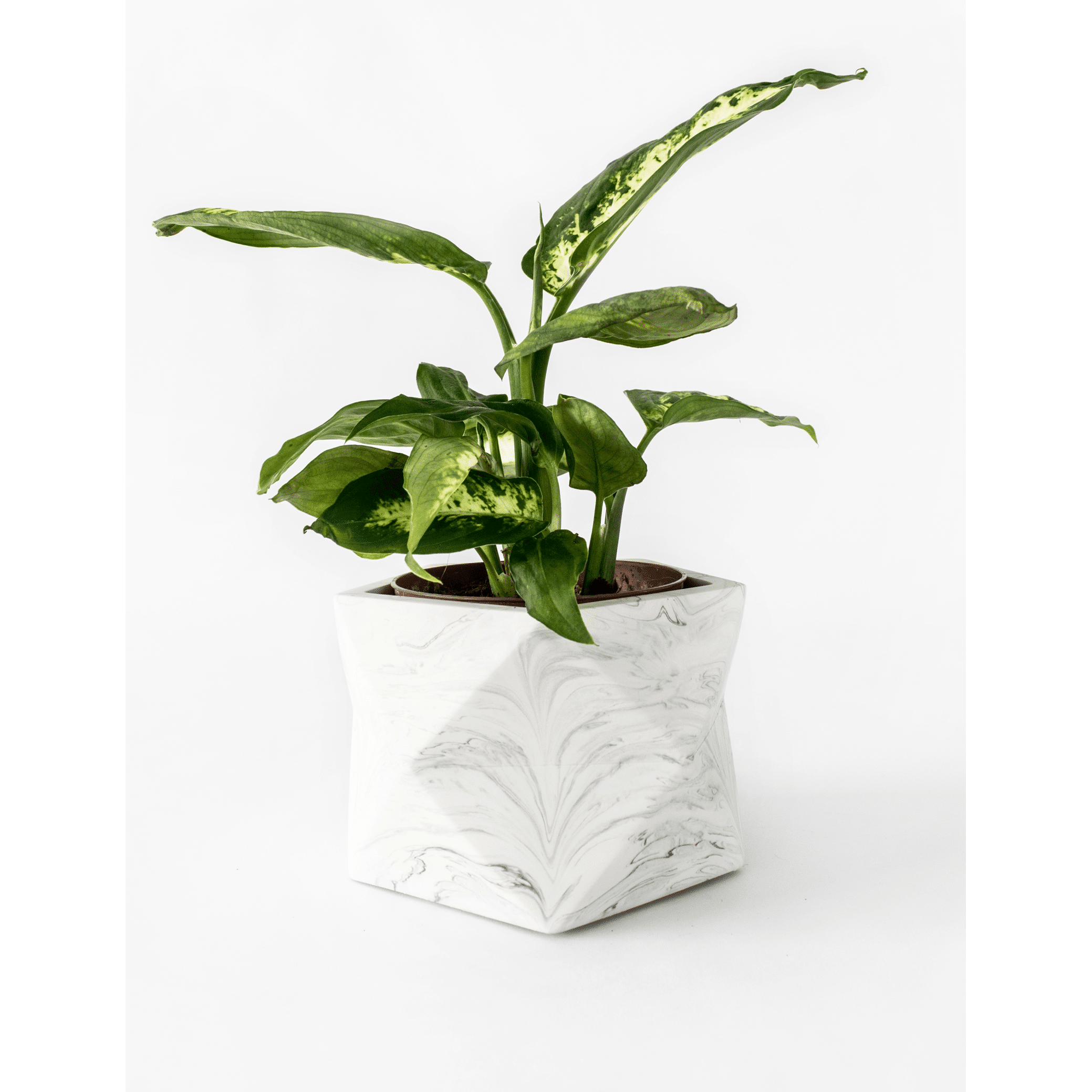 Palua large - White marble