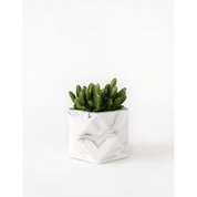 Palua large - White marble
