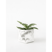 Palua medium - White marble