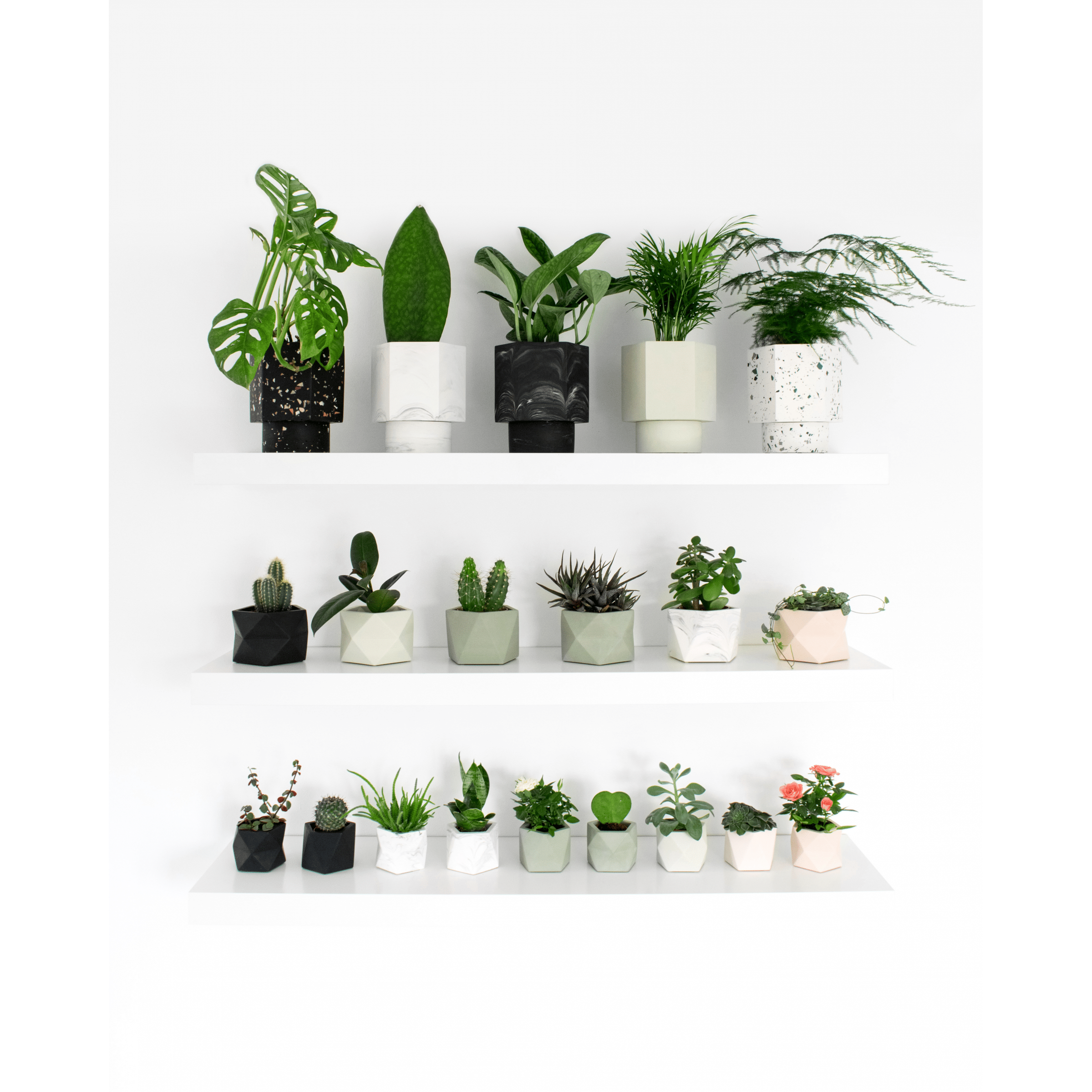 Mare planter medium olive