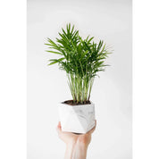 Mare planter medium white marble