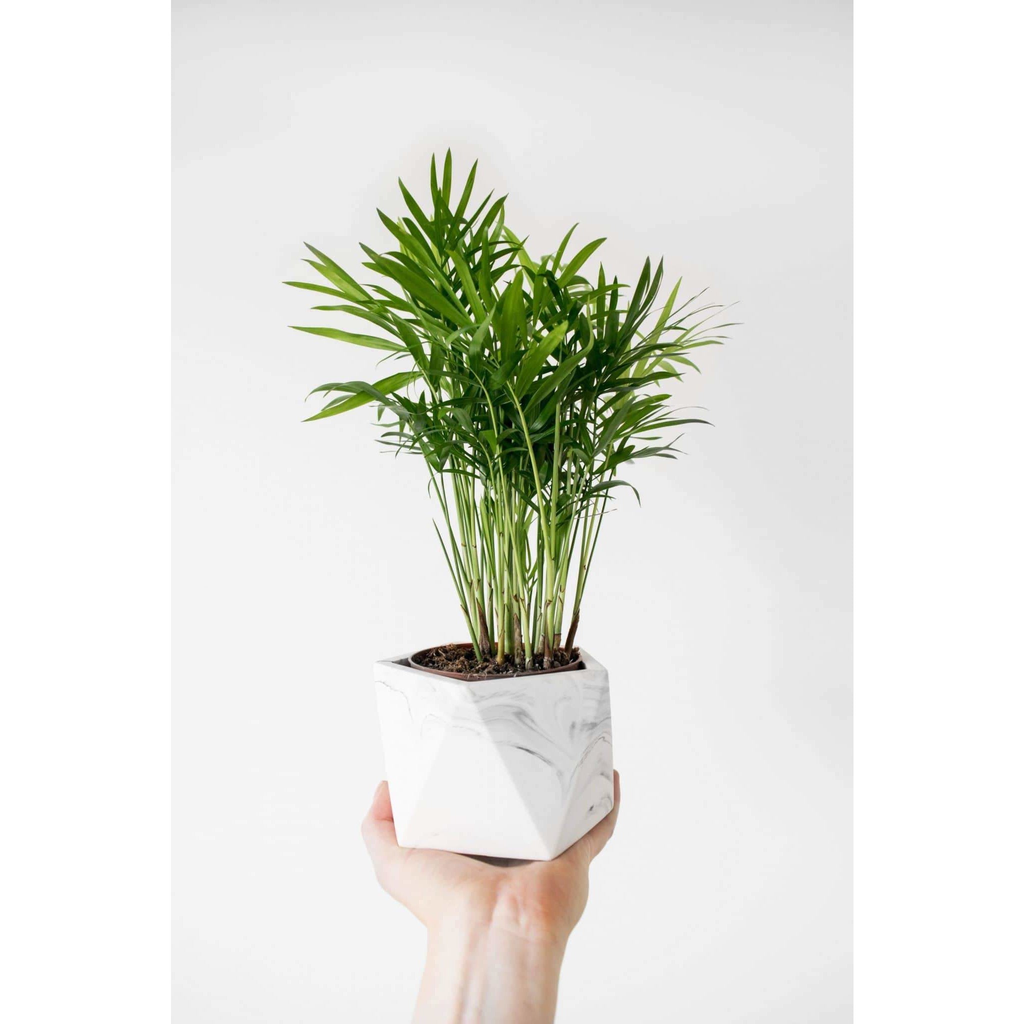 Mare planter medium white marble