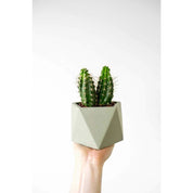 Mare planter large millennial pink
