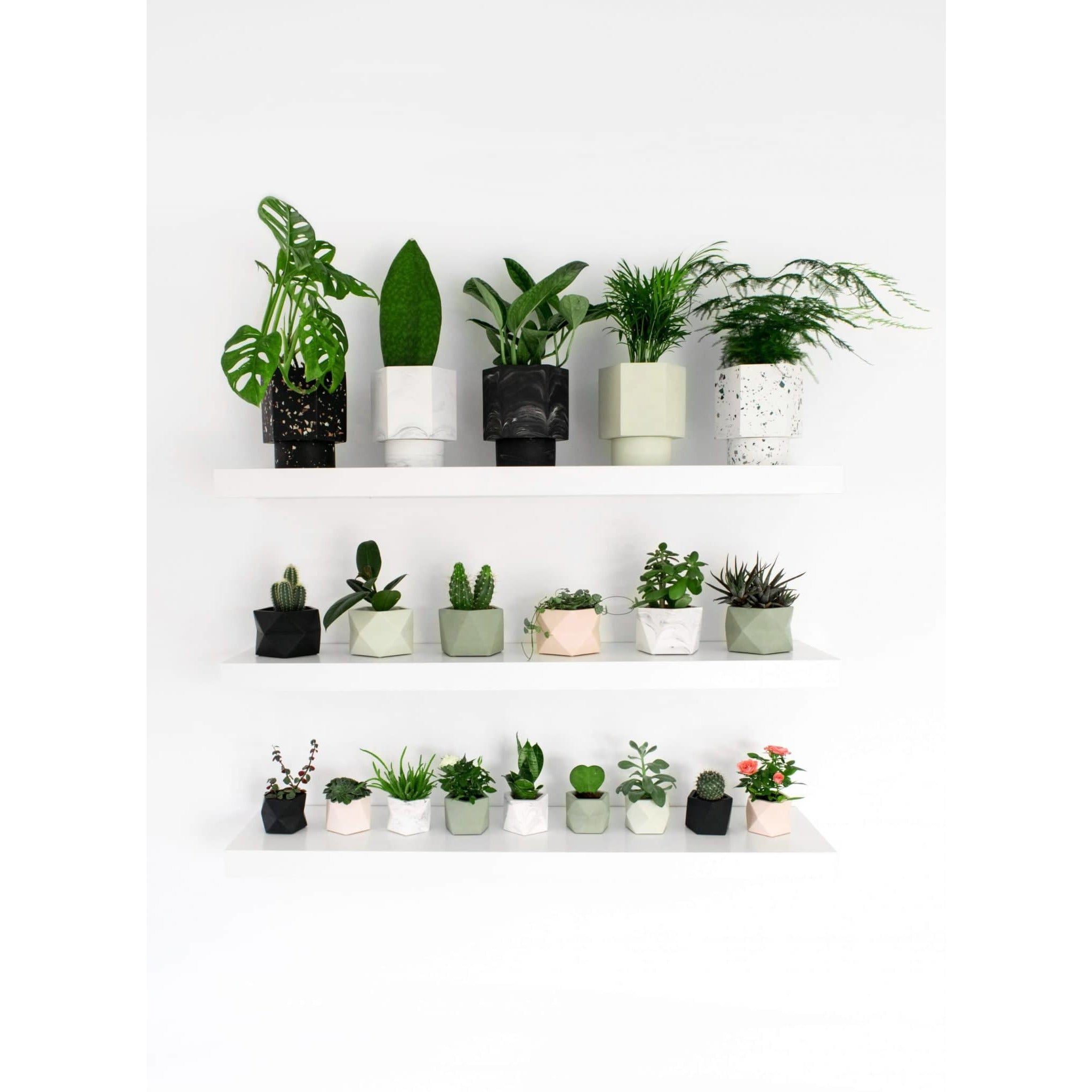 Product-shot-318-2-scaled.jpg
