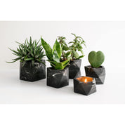 Palua large - Black marble