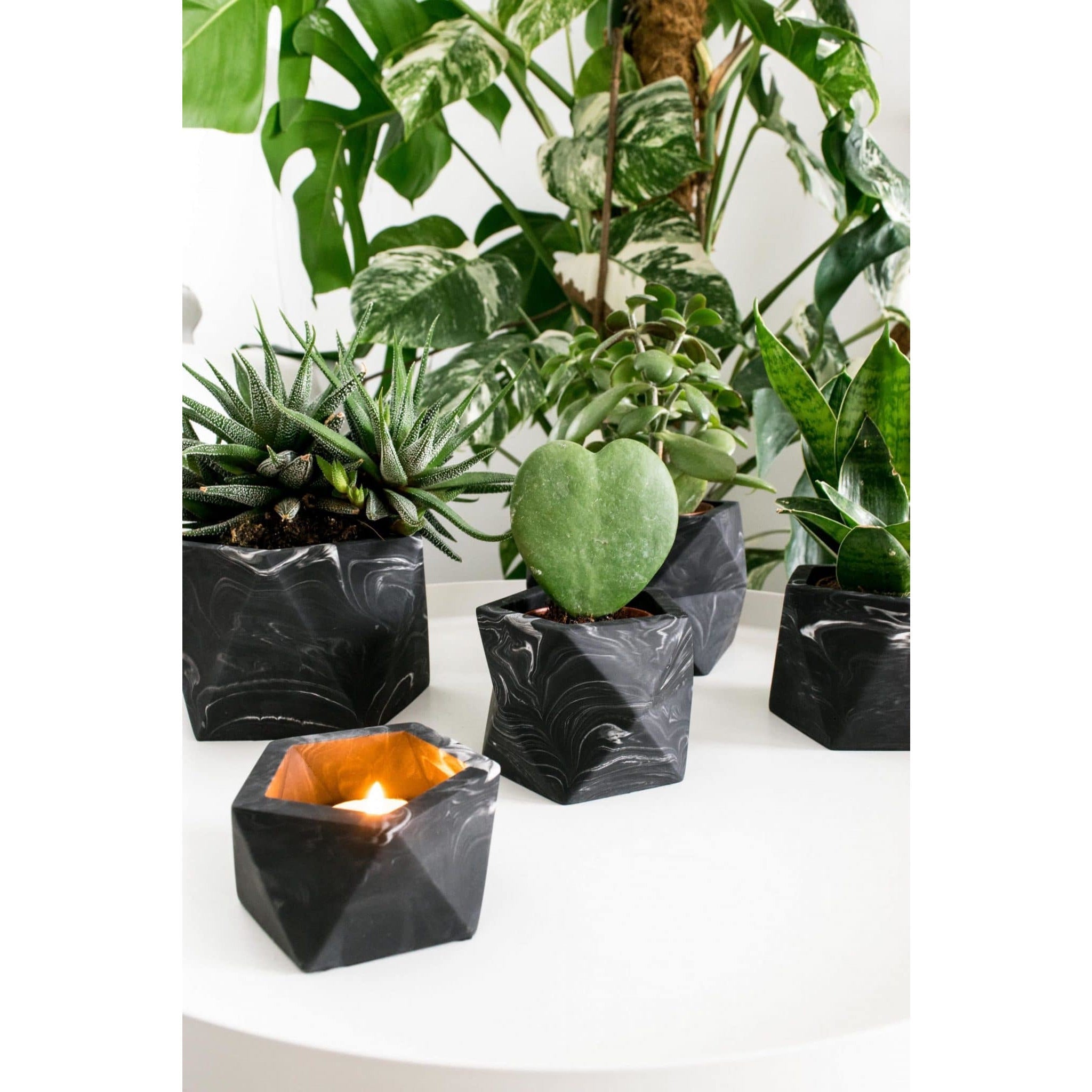 Product-shot-425-scaled.jpg