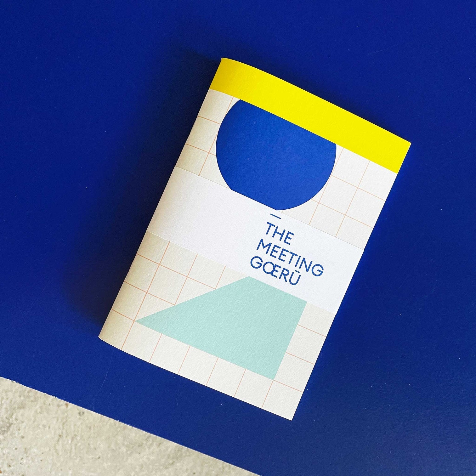 De 'Meeting Gœrū' - notebook