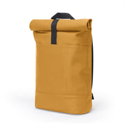 Hajo Medium - lotus honey mustard