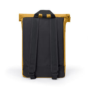 Hajo Medium - lotus honey mustard