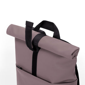 Hajo medium - Lotus grape