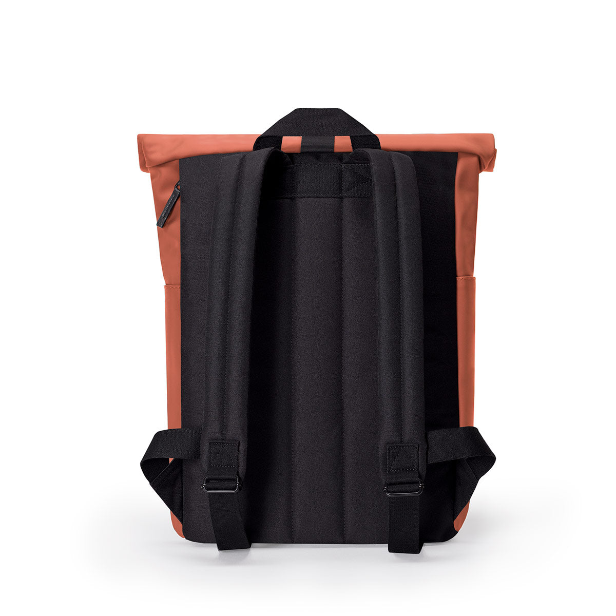 Hajo mini - rust