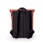 Hajo mini - rust