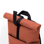 Hajo mini - rust