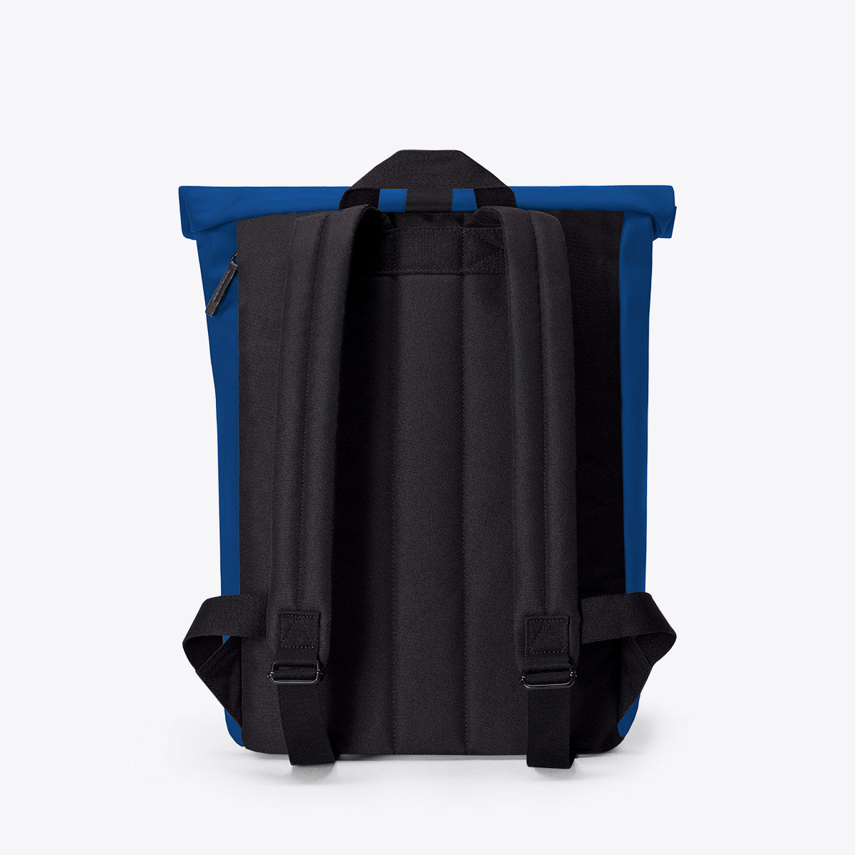 Jasper mini - Lotus royal blue