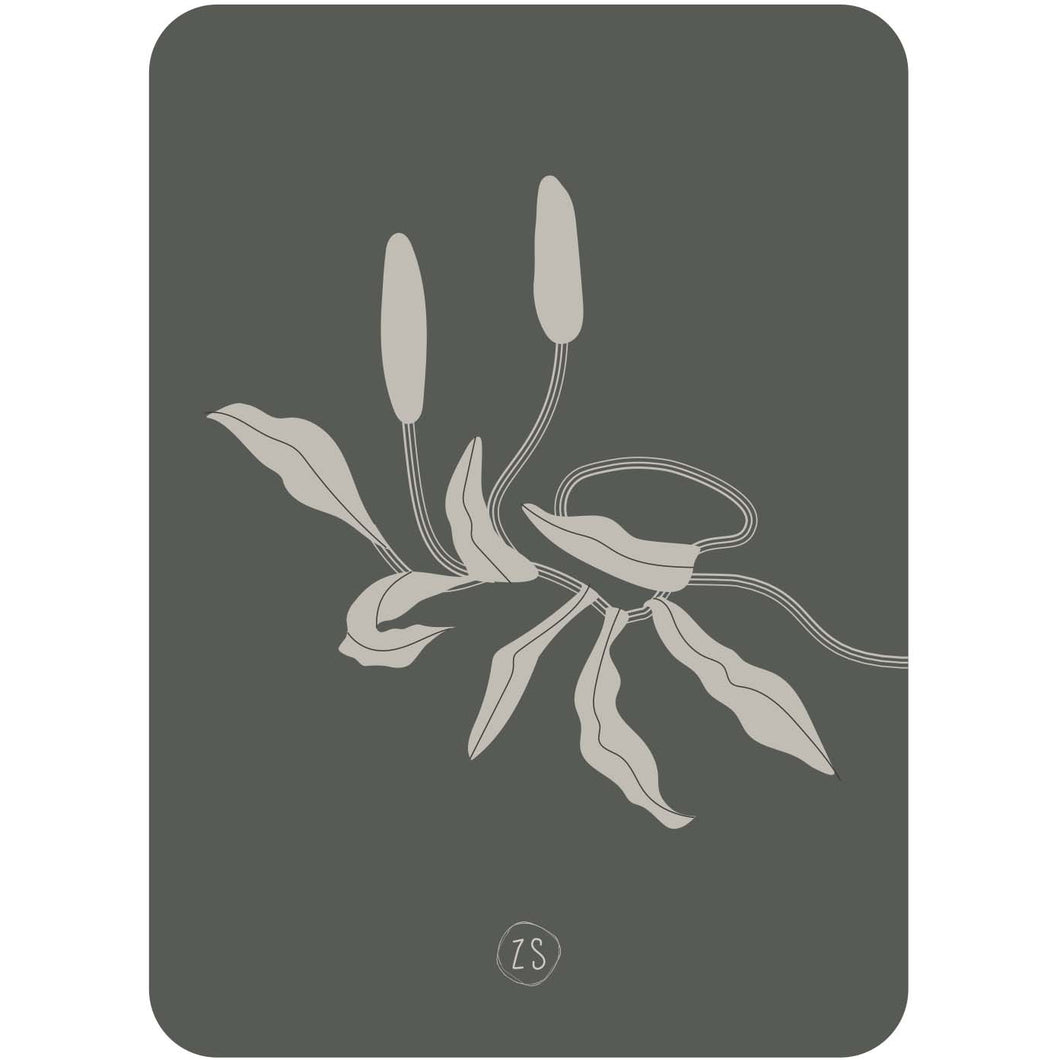 Postkaart - Art deco plant