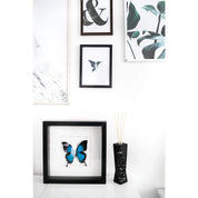 Amava scent diffuser black marble