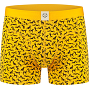 Dolf boxer brief