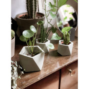 Mare planter medium olive