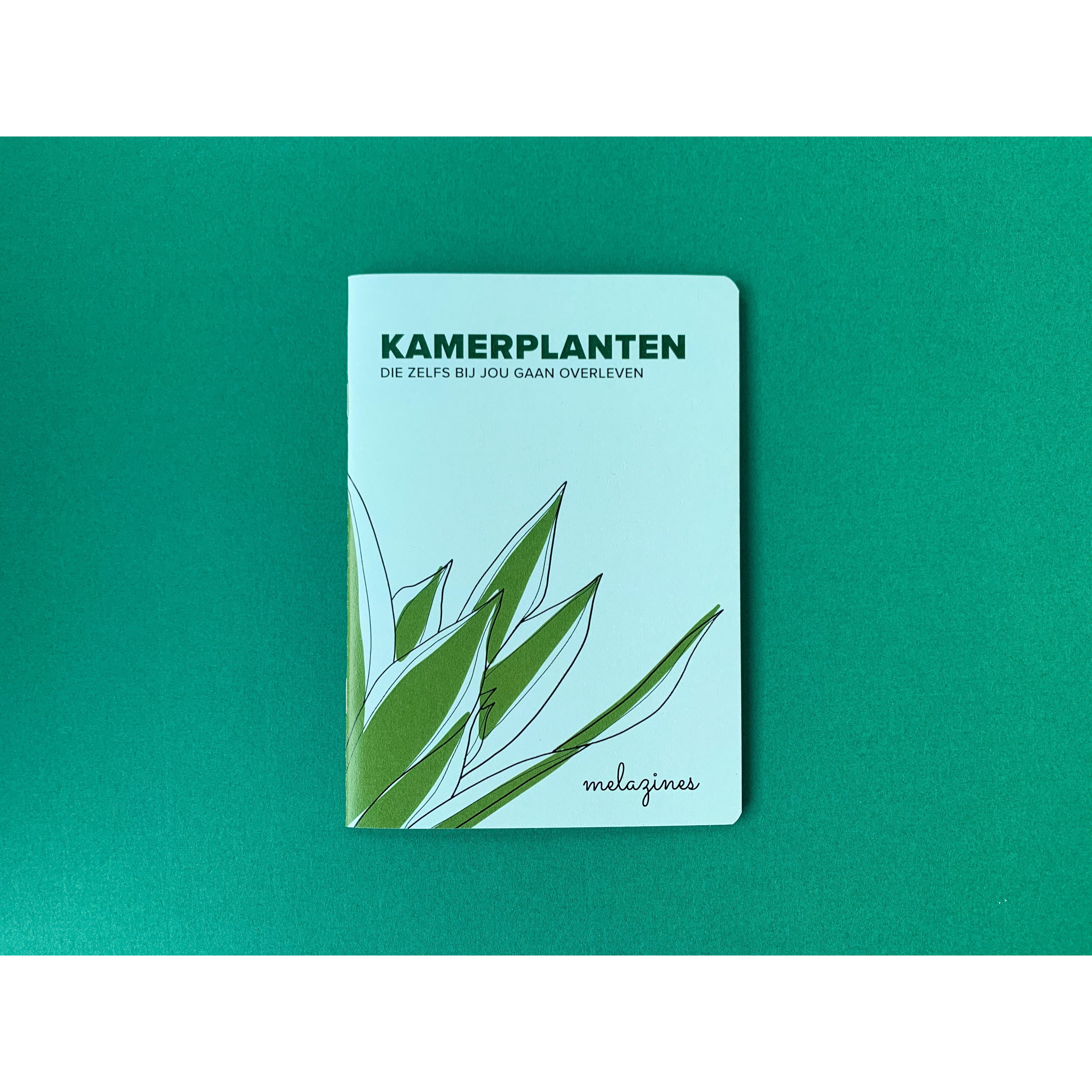 Kamerplanten