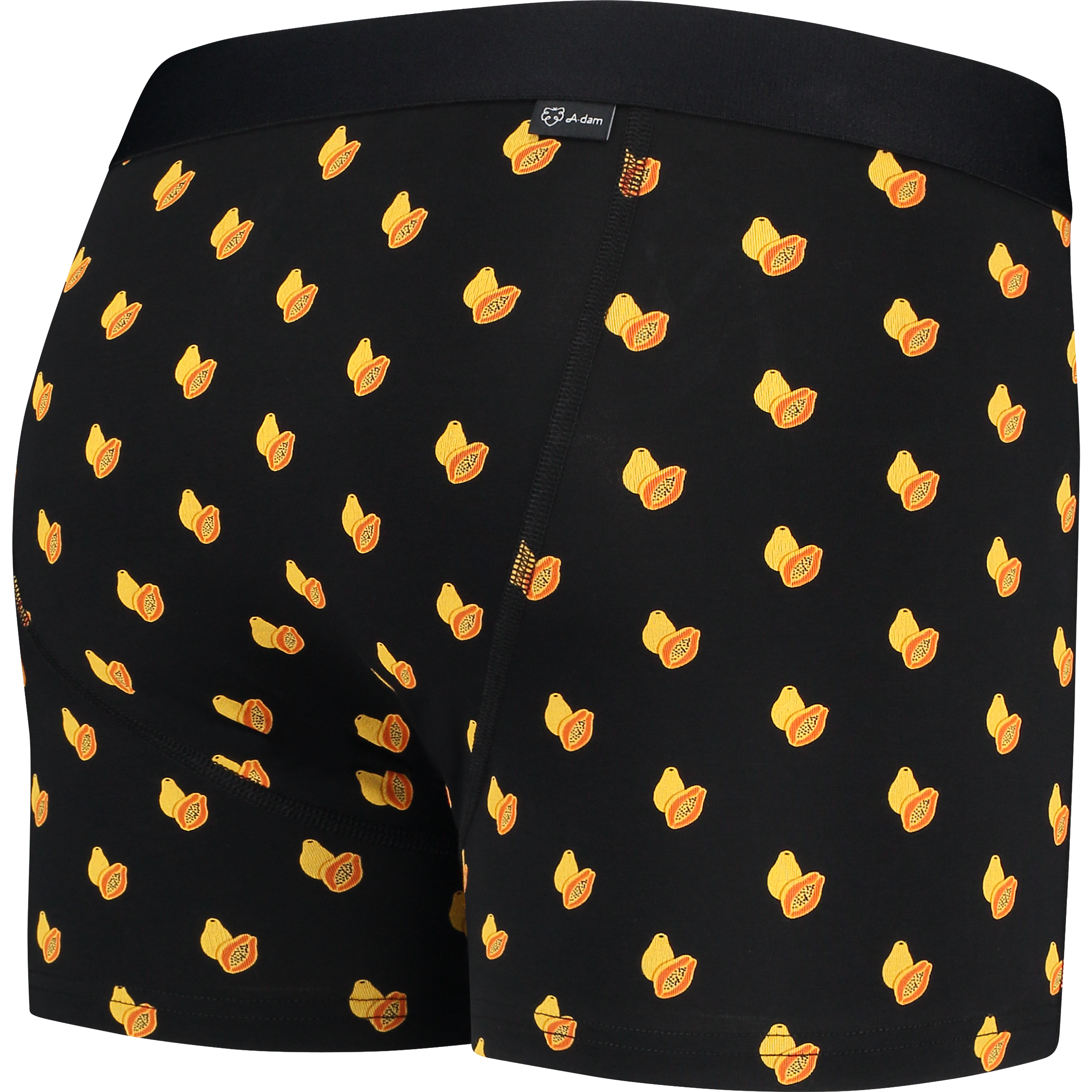 Pavel boxer brief