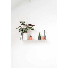 Afbeelding in Gallery-weergave laden, Mila planter - Pomegranate
