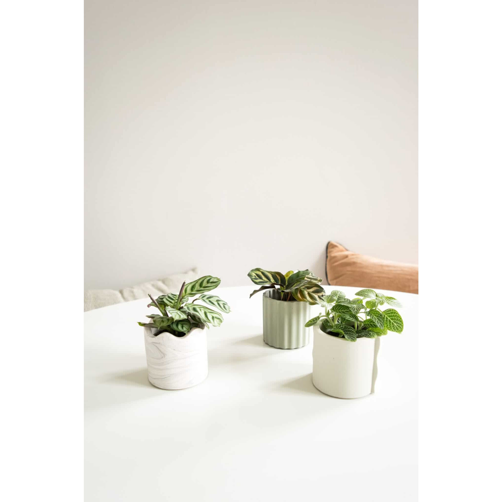 product-shot6-4-scaled.jpg