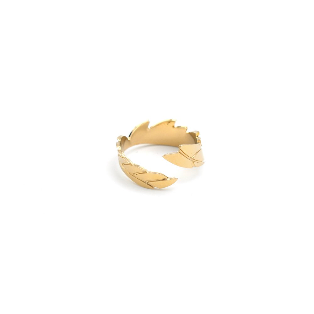 ring-envol.jpg