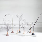 Vaas - Consilium forest green