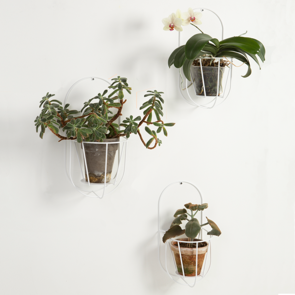 Wall cibele - white