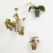Wall cibele - white