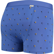 Xavier boxer brief