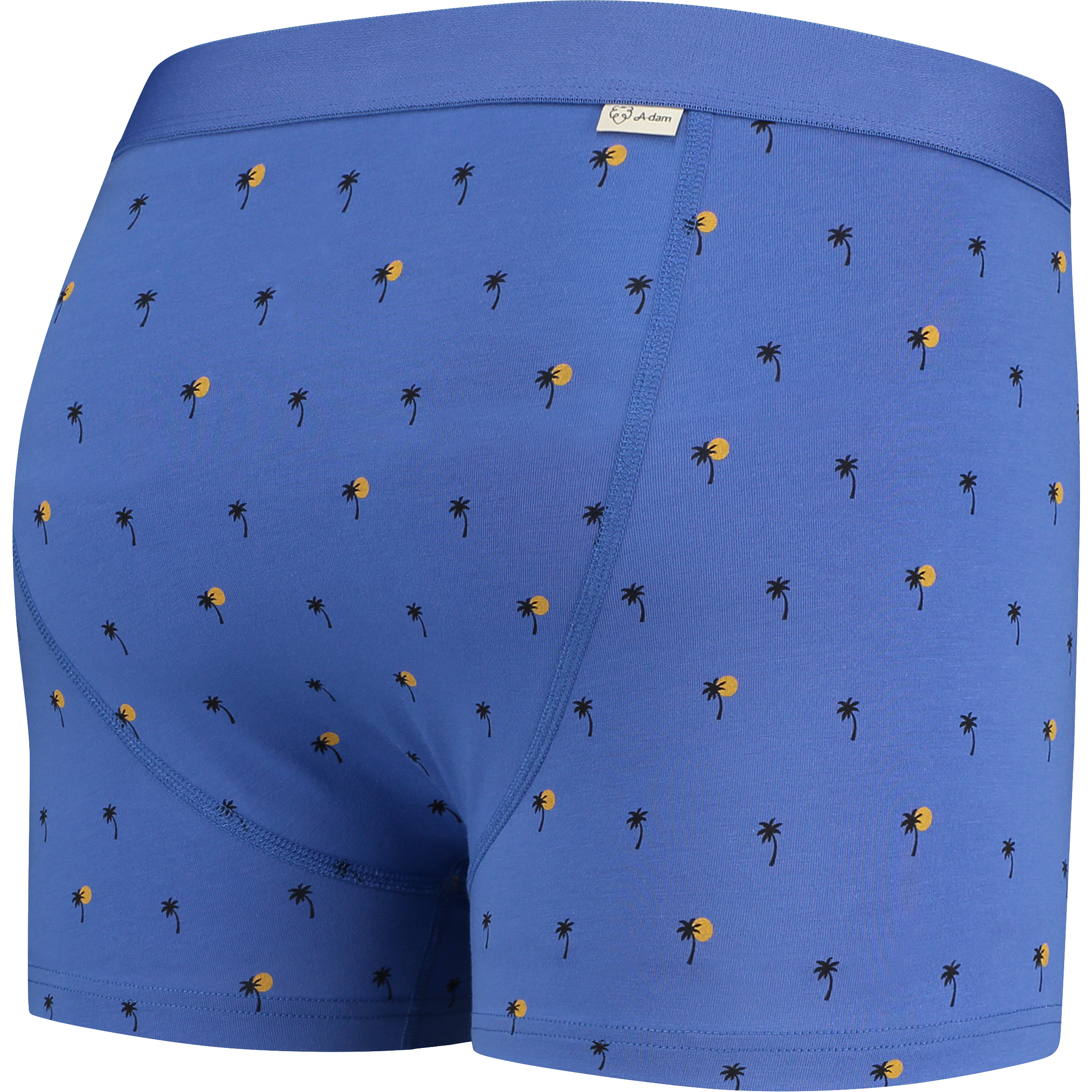 Xavier boxer brief