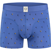 Xavier boxer brief